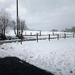 Le Cheval Ardennais