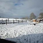 Le Cheval Ardennais *