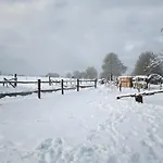 Le Cheval Ardennais * Gouvy