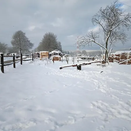 Le Cheval Ardennais * Gouvy