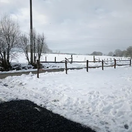 Le Cheval Ardennais