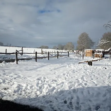 Le Cheval Ardennais *