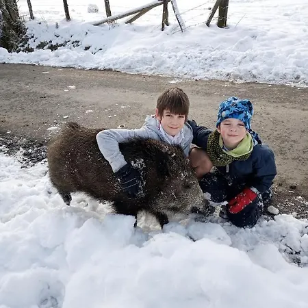 Hébergement de vacances Le Cheval Ardennais
