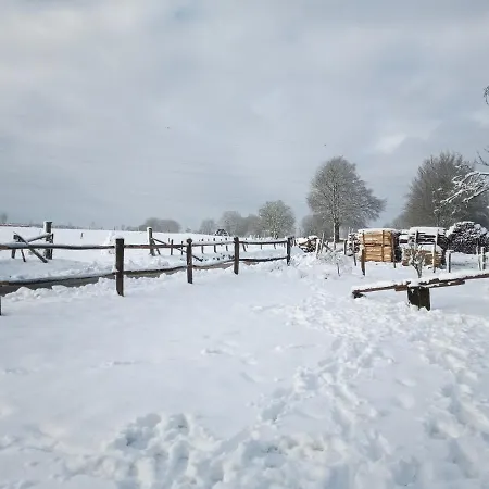 Le Cheval Ardennais * Gouvy