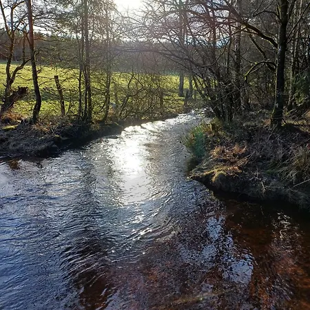 Le Cheval Ardennais * Gouvy