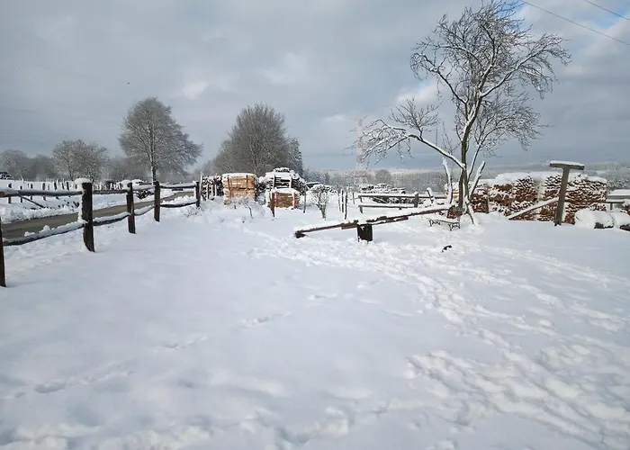Le Cheval Ardennais * Gouvy