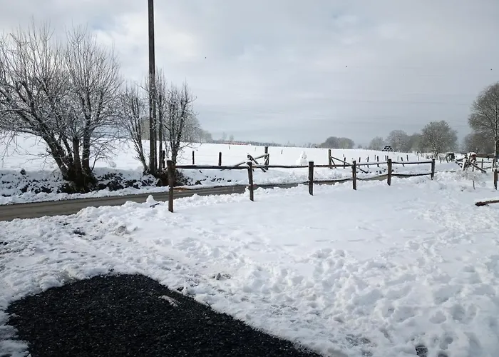 Le Cheval Ardennais