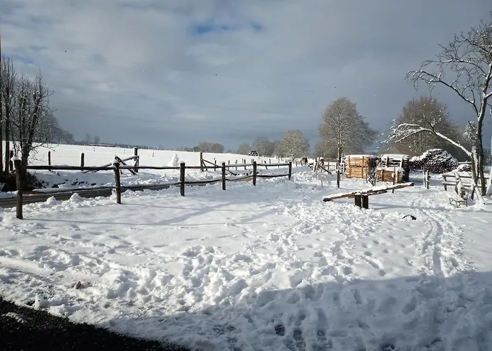 Le Cheval Ardennais *