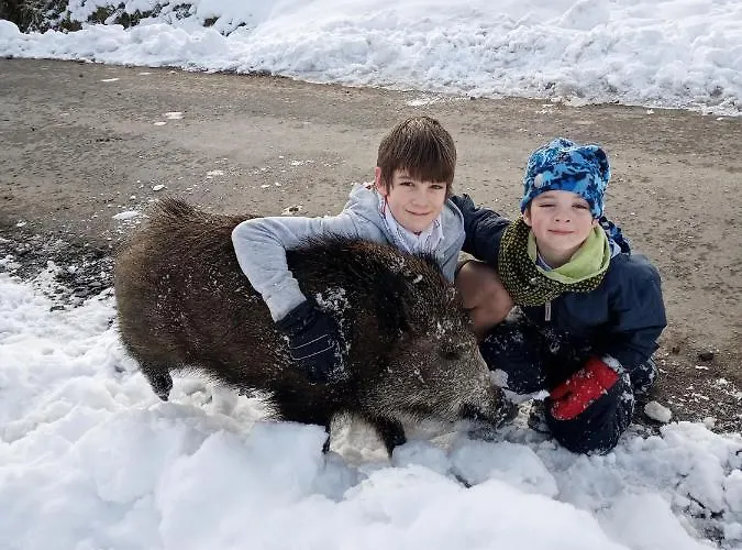 Hébergement de vacances Le Cheval Ardennais