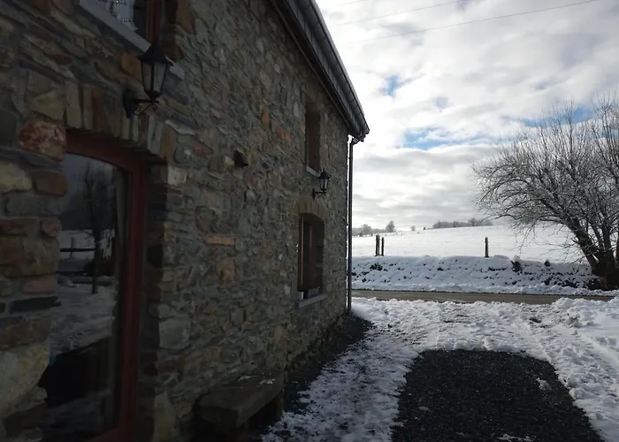 Le Cheval Ardennais * Gouvy