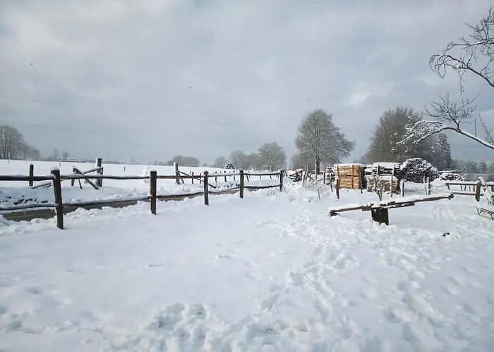 Le Cheval Ardennais * Gouvy