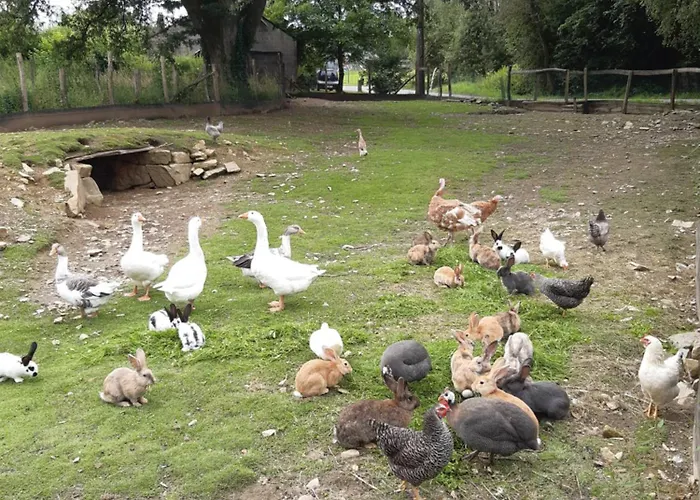 Le Cheval Ardennais Vakantiehuis Gouvy