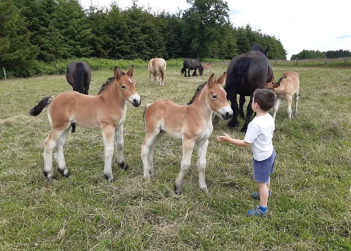 Le Cheval Ardennais *