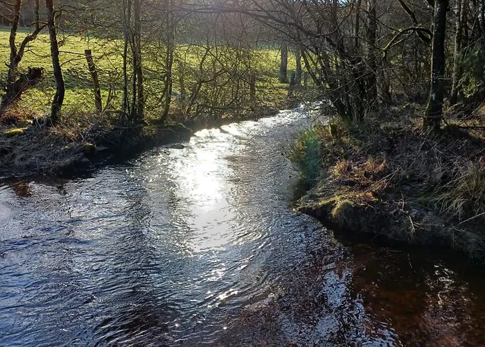 Le Cheval Ardennais * Gouvy